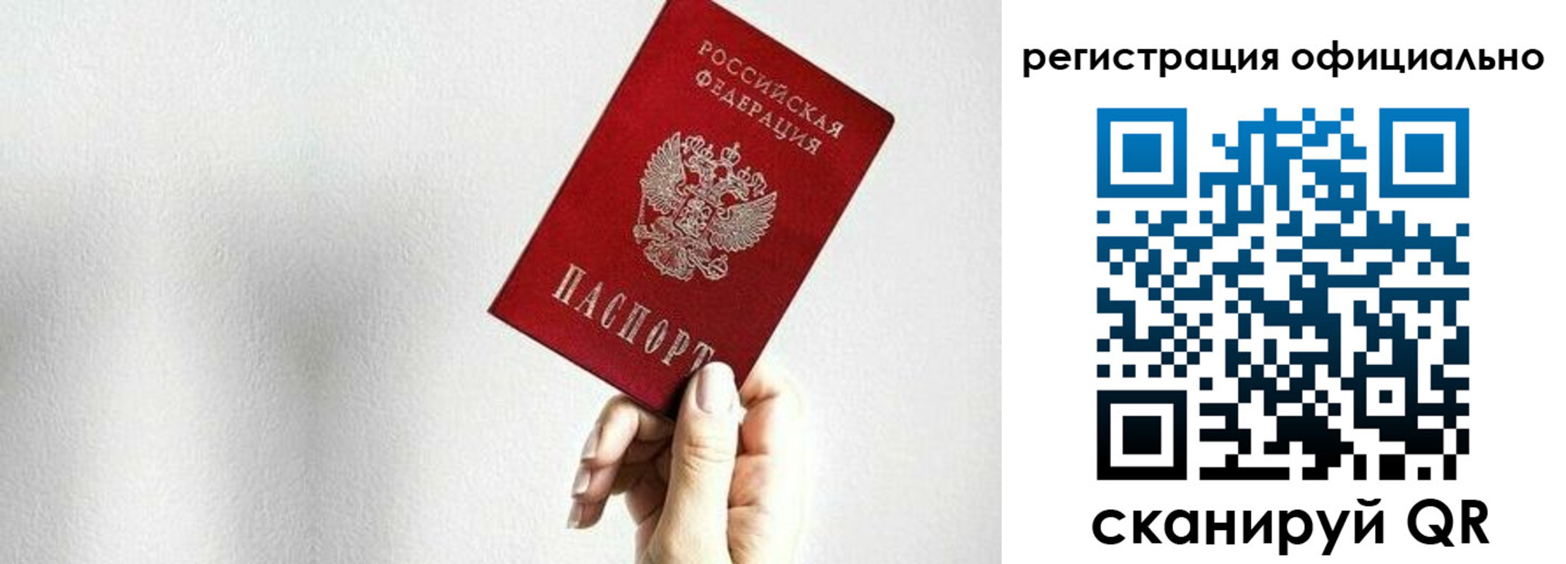 прописка поиск в Михайловке